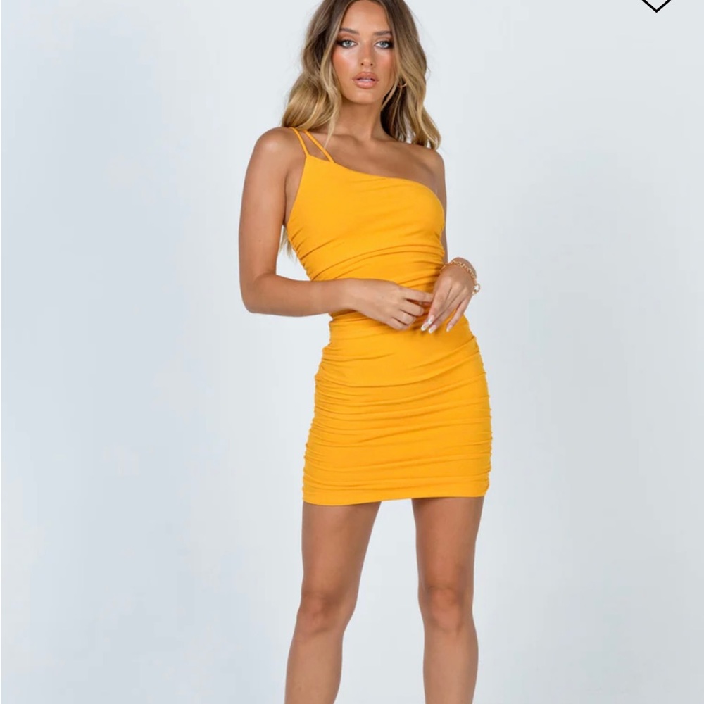 Princess Polly NWT Reece Mini Dress size 6 exclusive color